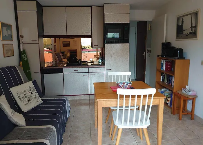 4dom11 Avec Terrasse Et Parking, Proche Κολιούρ